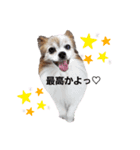 毛むくじゃら達5（個別スタンプ：3）