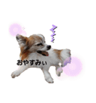 毛むくじゃら達5（個別スタンプ：7）