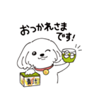 ”美白犬”副社長 マルチーズのはなちゃん（個別スタンプ：6）