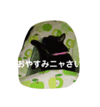 ねこNEKOスタ（個別スタンプ：1）