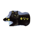 ねこNEKOスタ（個別スタンプ：2）