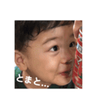 カンタレント3（個別スタンプ：27）