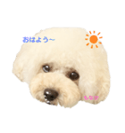 いとしのもなちゃん（個別スタンプ：1）