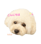 いとしのもなちゃん（個別スタンプ：2）