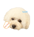 いとしのもなちゃん（個別スタンプ：5）