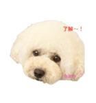 いとしのもなちゃん（個別スタンプ：6）