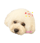 いとしのもなちゃん（個別スタンプ：7）