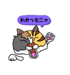 catcatcat12（個別スタンプ：7）