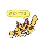 catcatcat12（個別スタンプ：9）