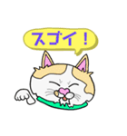 catcatcat12（個別スタンプ：16）