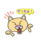 catcatcat12（個別スタンプ：19）