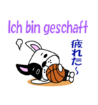 バスケ犬 ドイツ語と日本語（個別スタンプ：24）