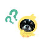 わんこの日常(お仕事 敬語編)（個別スタンプ：21）