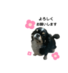 わんこの日常(お仕事 敬語編)（個別スタンプ：22）