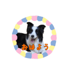 Best Family 1（個別スタンプ：5）