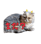 Best Family 1（個別スタンプ：14）