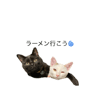 猫ねずみ達（個別スタンプ：6）