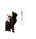 猫ねずみ達（個別スタンプ：7）