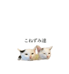 猫ねずみ達（個別スタンプ：8）