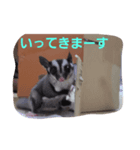 毎日使えるモモンガスタンプ（個別スタンプ：3）
