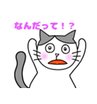 ぽちゃねこキアラ2（個別スタンプ：8）