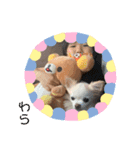 近藤ひめ04（個別スタンプ：7）