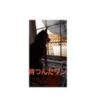 しばうた（個別スタンプ：1）