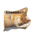 しばうた（個別スタンプ：2）