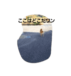 しばうた（個別スタンプ：5）