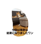 しばうた（個別スタンプ：13）