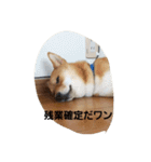 しばうた（個別スタンプ：19）