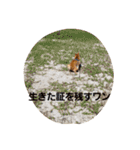 しばうた（個別スタンプ：20）
