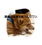 しばうた（個別スタンプ：21）