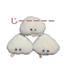 ふわふわぬいスタンプ vol.2（個別スタンプ：13）