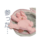 ふわふわぬいスタンプ vol.2（個別スタンプ：31）