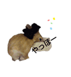 キュートもふもふスタンプ（個別スタンプ：7）