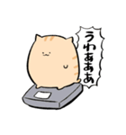 にわねこ健康（個別スタンプ：15）