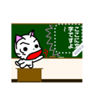 Funny cat message 2（個別スタンプ：12）