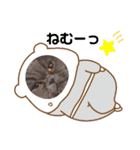 猫のグーちゃん②（個別スタンプ：2）