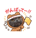 猫のグーちゃん②（個別スタンプ：8）