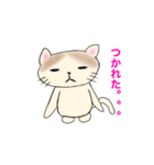 ゆるゆるcats（個別スタンプ：5）