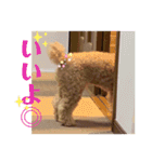 モカりんぐすの日常2（個別スタンプ：5）