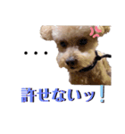 モカりんぐすの日常2（個別スタンプ：7）