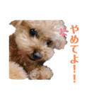 モカりんぐすの日常2（個別スタンプ：10）