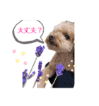 モカりんぐすの日常2（個別スタンプ：11）