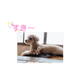 モカりんぐすの日常2（個別スタンプ：12）