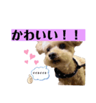 モカりんぐすの日常2（個別スタンプ：14）