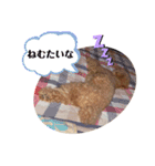 モカりんぐすの日常2（個別スタンプ：16）