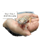 帰りたい動物達（個別スタンプ：1）