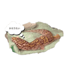 帰りたい動物達（個別スタンプ：3）